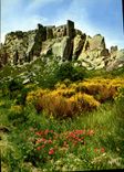 CPM Les Baux en Provence Les ruines du chateau feodal
