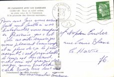 CPM En Camargue Avec Les Gardians Chevaux 