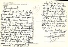 CPM La Camargue chevaux 