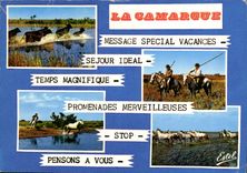CPM Camargue Passage De Taureaux Gardians Poursuite Manade