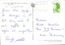 CPM Camargue Souvenirs Chevaux Taureaux Flamants roses 