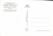 CPM Les Gardians Flamants Roses Dans Les Etangs