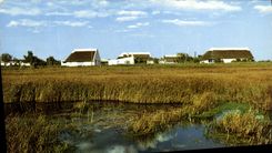 CPA Camargue Pays de Chasse et d'Elevage