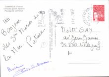 CPM La Camargue Paysage