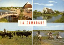 CPM Ln Camargue Chevaux Taureaux 
