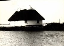 CPM camargue Maison locale 