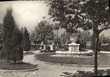 CPM Port de Bouc Le nouveau jardin 