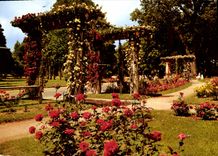 CPM Marseille Le Parc Borely La Roserie