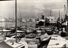 CPM Marseille Le vieux port Bateaux 