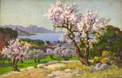 CPA Amandiers en fleurs aux environs de Marseille 