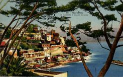 CPA Marseille La Corniche a travers les pins 