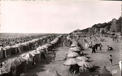 VINTAGE POSTCARD Trouville the queen of the beach the beach