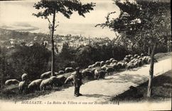 VINTAGE POSTCARD Houlgate the Road of Villers and Vue on Houlgate Shepherd and sheep