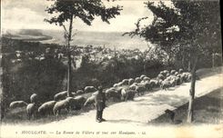 CPA Houlgate La Route de Villers et Vue sur Houlgate Berger et moutons