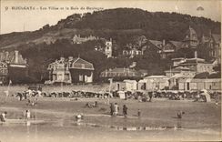 CPA Houlgate Les Villas et le Bois de Boulogue 