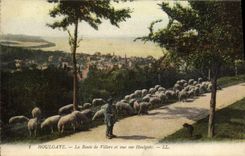 CPA Houlgate La Route de Villers et Vue sur Houlgate Berger et moutons