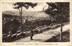 CPA Houlgate La Route de Villers et Vue sur Houlgate Berger et moutons