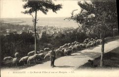 CPA Houlgate La Route de Villers et Vue sur Houlgate Berger et moutons