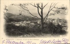 CPA Houlgate Panorama Vue prise du Bois de Boulogne