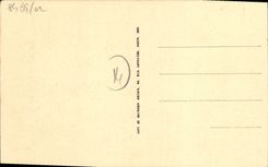 VINTAGE POSTCARD Trouville new gardens towards the topsy