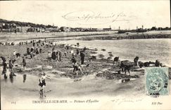 CPA Trouville Sur mer pecheurs d'equilles peche 