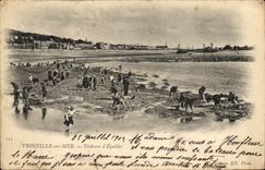 VINTAGE POSTCARD Trouville On sea pecbeurs of equilles