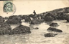 CPA Trouville Sur mer Les roches noires la peche aux moules