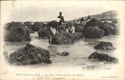 CPA Trouville Sur mer Les roches noires la peche aux moules