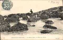 CPA Trouville Sur mer Les roches noires la peche aux moules
