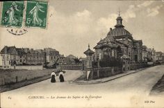 Avenidas de Cabourg de la POSTAL de la VENDIMIA de los abetos y de la encrucijada