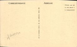 CPA Lisieux Le jardin public et le musee