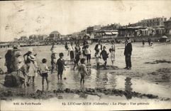 CPA Luc Sur mer la plage vue generale