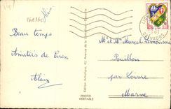 VINTAGE POSTCARD Lion on sea the church