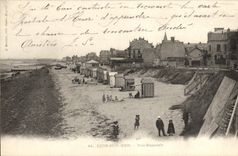 VINTAGE POSTCARD Lion on sea View