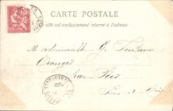 VINTAGE POSTCARD Lion on sea View