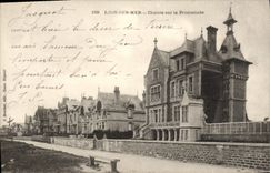 VINTAGE POSTCARD Lion on sea country cottages on the walk