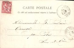 VINTAGE POSTCARD Lion on sea country cottages on the walk