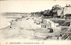 VINTAGE POSTCARD Lion on sea View of the beach