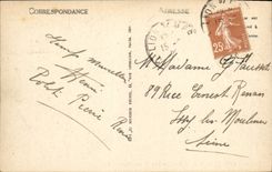 VINTAGE POSTCARD Lion on sea View of the beach