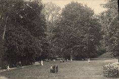 CPA Lisieux Le Jardin de L'Etoile 