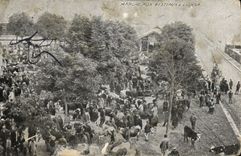 CPA Marche aux Bestiaux a Lisieux 