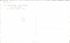 CPM Deauville La Plage Fleurie ferme du coteau