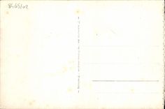 VINTAGE POSTCARD Deauville flowered beach normandy hotel and boulevard