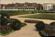CPA Deauville La plage fleurie Parterres fleuris et Normandy Hotel