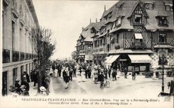 CPA Deauville la plage fleurie Vue sur le Normandy Hotel