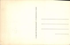 CPA Deauville Plage Fleurie Royal Hotel et Boulevard Cornuche