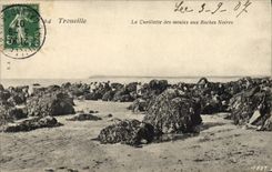 CPA Trouville La Cueillette des Moules Aux Roches Noires