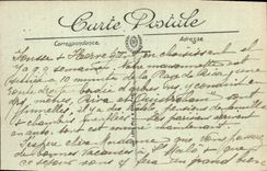 VINTAGE POSTCARD Riva bleated the virgin of Rivetted