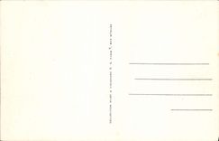 VINTAGE POSTCARD Riva bleated the Stopping of the Train tram