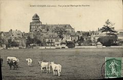 VINTAGE POSTCARD Pont-l'Ev4eque cheese Seen from of the pasture of Hunieres Cows